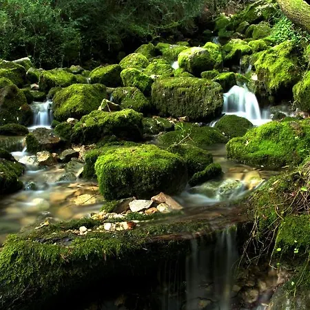 Moli De Dalt * La Coma I La Pedra