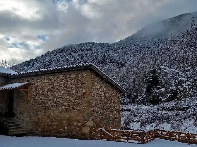 Molí De Dalt